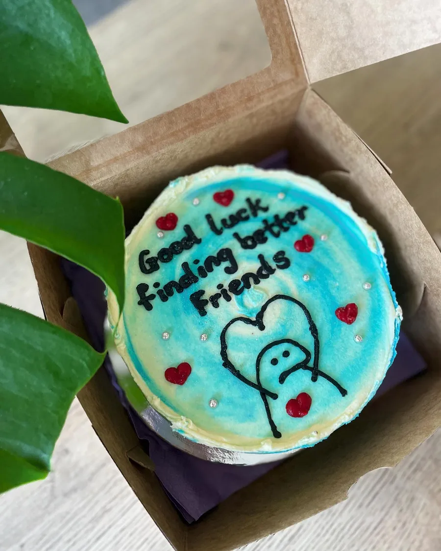 Bento cake with a hand-drawn character and 'Good luck finding better friends'